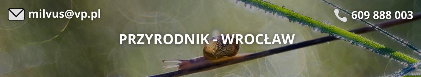 baner 2 wrocław